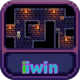 iiwin